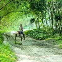 ফুলছড়ি