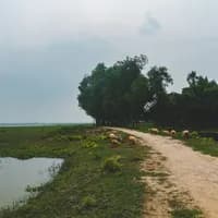 গোবিন্দগঞ্জ
