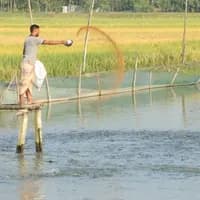 সাদুল্লাপুর