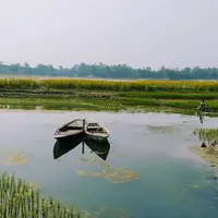 সাঘাটা